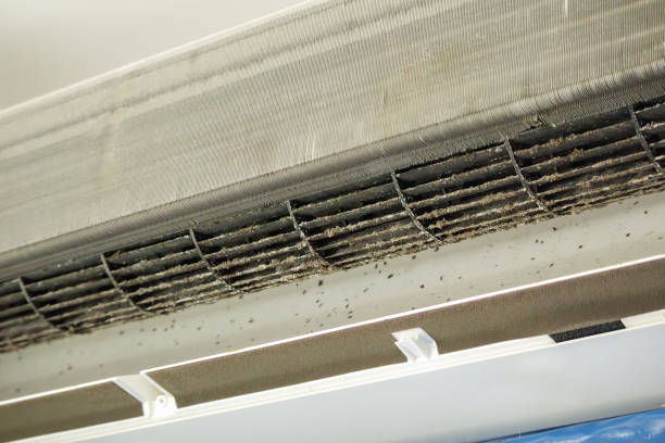 Best HVAC Duct Inspection Services  in Steele, MO